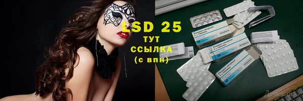тгк Горнозаводск