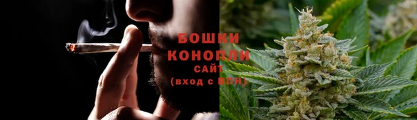 тгк Горнозаводск