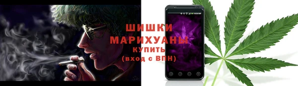 тгк Горнозаводск