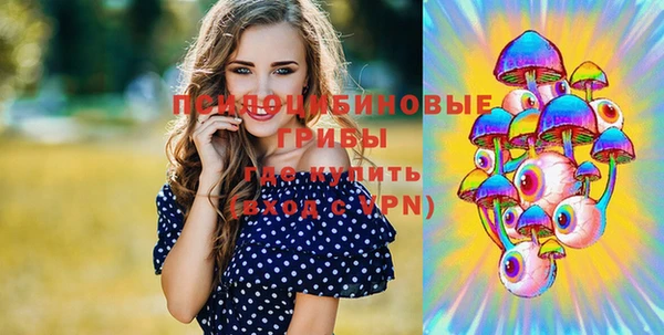 хмурый Горняк