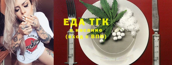 тгк Горнозаводск