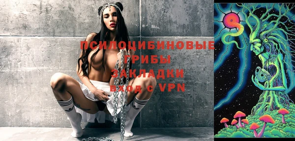 хмурый Горняк