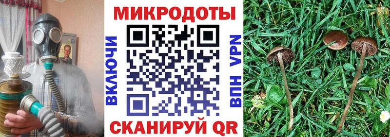 Псилоцибиновые грибы мухоморы  Донецк 