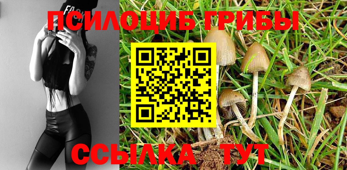 Донецк  МАРИХУАНА  Меф МЯУ МЯУ   Cocaine  Мефедрон   МЕТАМФЕТАМИН  Амфетамин   Гашиш  APVP СК   Каннабис 