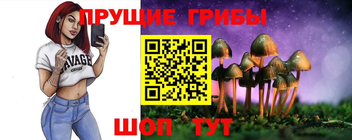 Галлюциногенные грибы MAGIC MUSHROOMS  Галлюциногенные грибы ЛСД  как найти наркотики  Донецк 